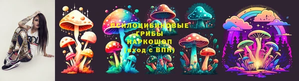 крисы Зеленокумск
