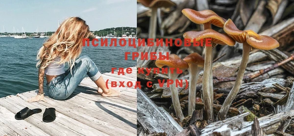 apvp Зерноград