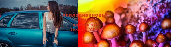 apvp Зерноград
