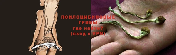 крисы Зеленокумск