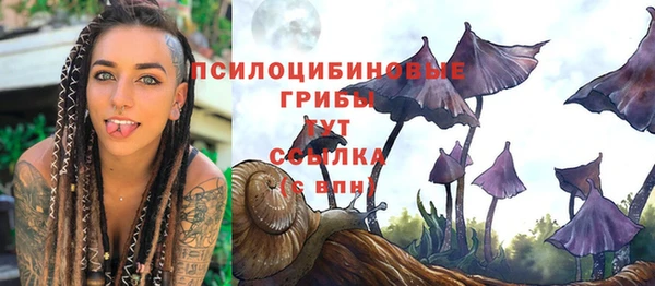 не бодяженный Зеленодольск