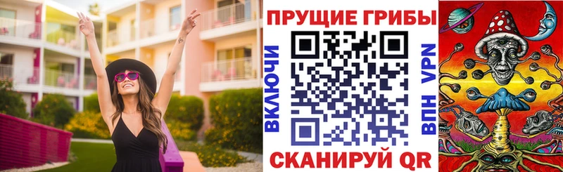 Купить  Калининец  Псилоцибиновые грибы Magic Shrooms 